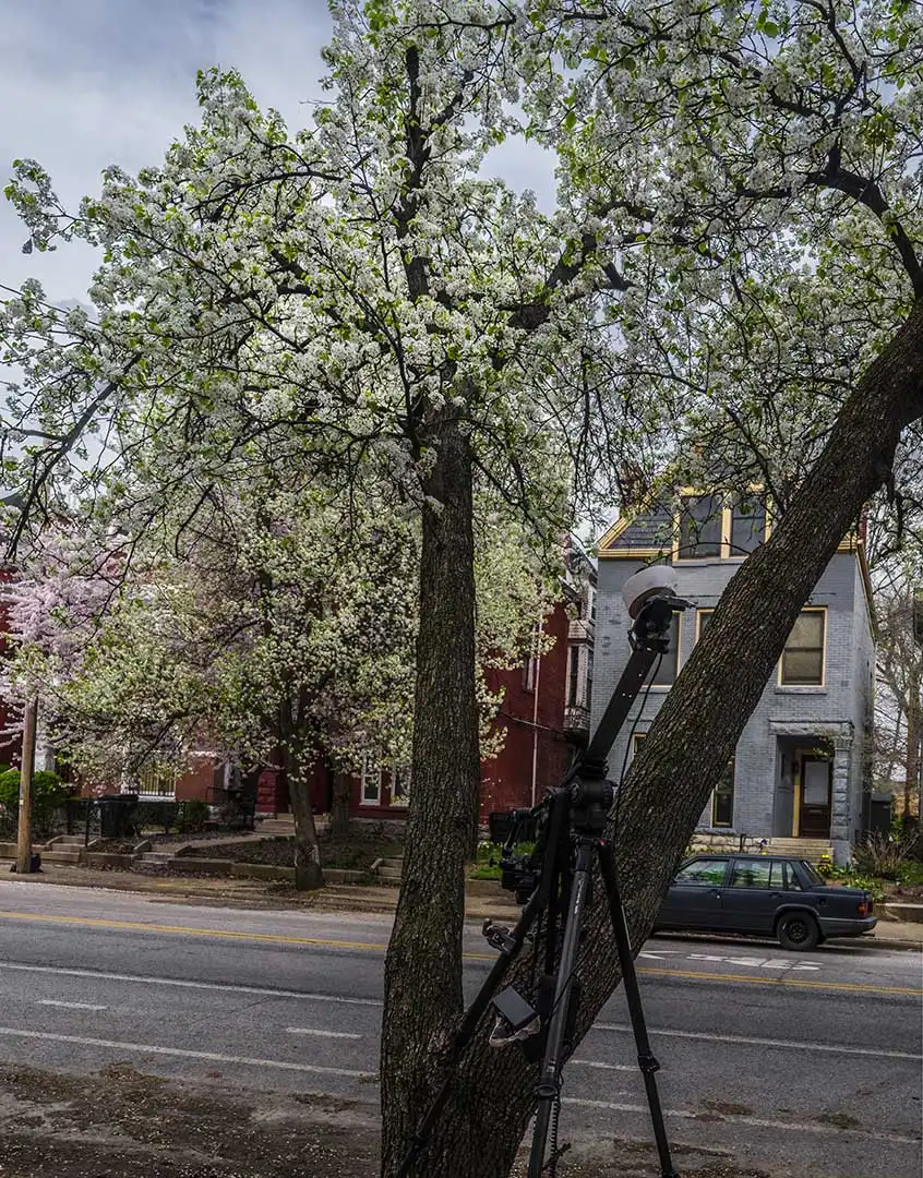 Behind The Scenes From Louisville In Bloom