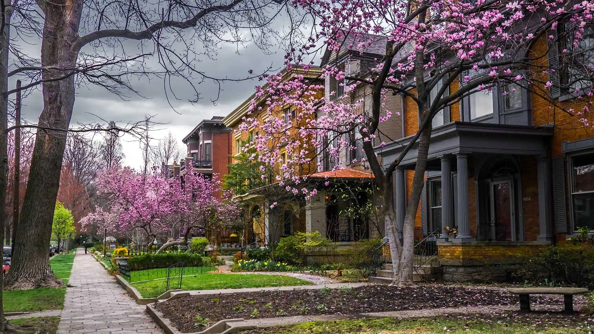 Trees Bloom In St James Court